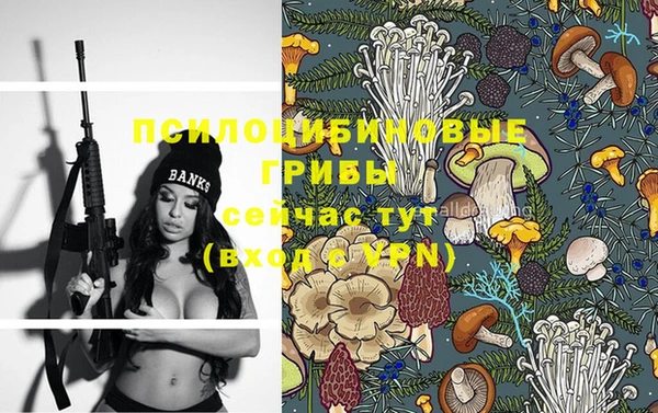 ГАЛЛЮЦИНОГЕННЫЕ ГРИБЫ Армянск
