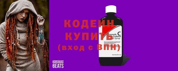 PSILOCYBIN Заполярный
